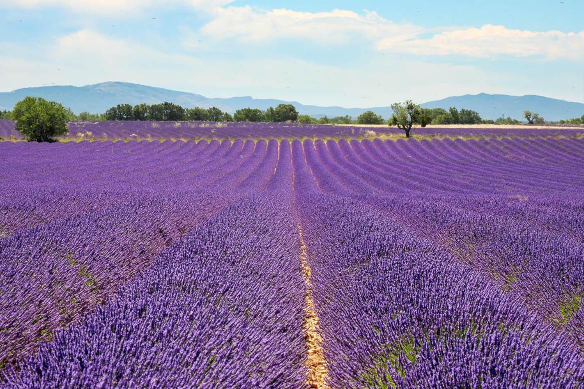Roulotte Bohemian Lover In Provence, *