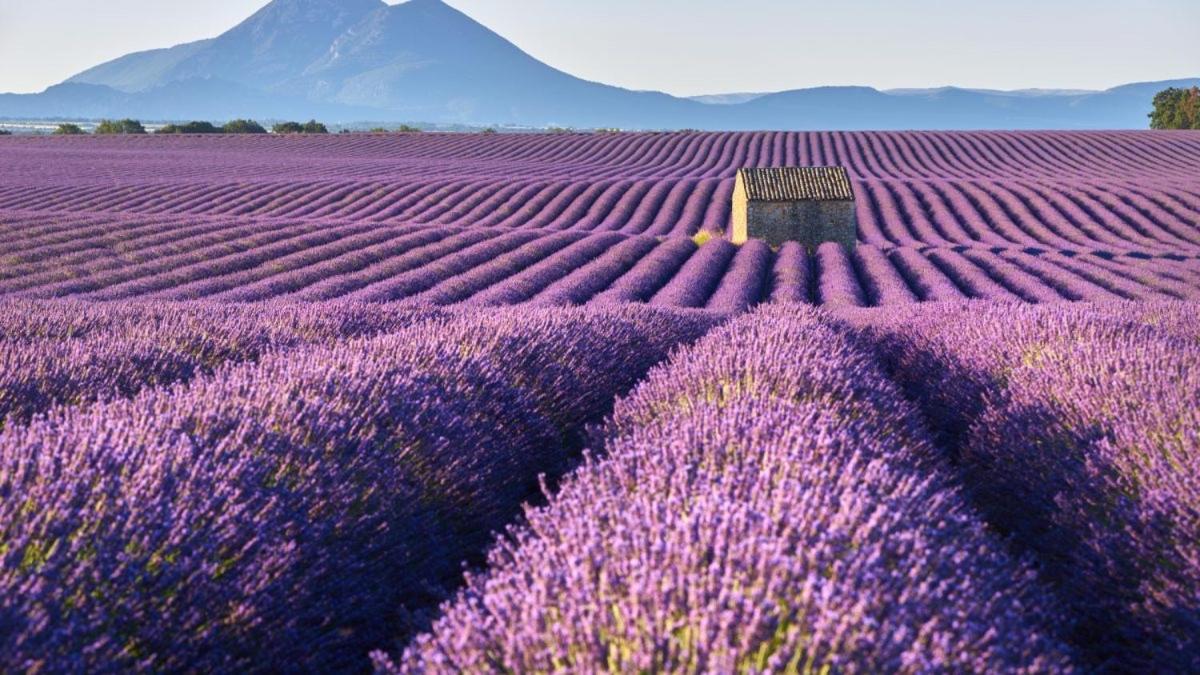 Roulotte Bohemian Lover In Provence,